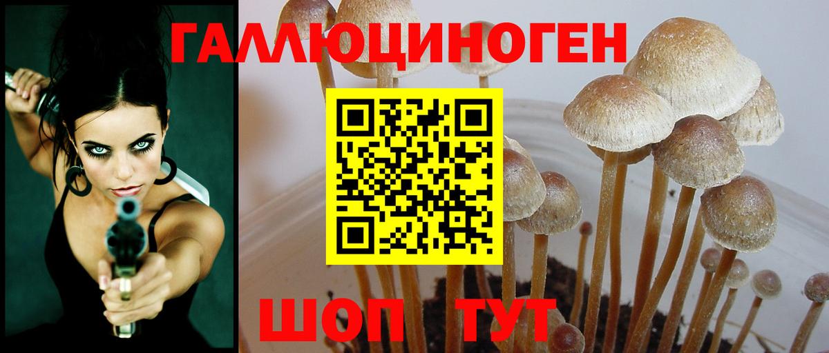 Самара  Псилоцибиновые грибы Magic Shrooms  Вход с VPN  Псилоцибиновые грибы GOLDEN TEACHER 